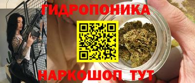 винт Будённовск