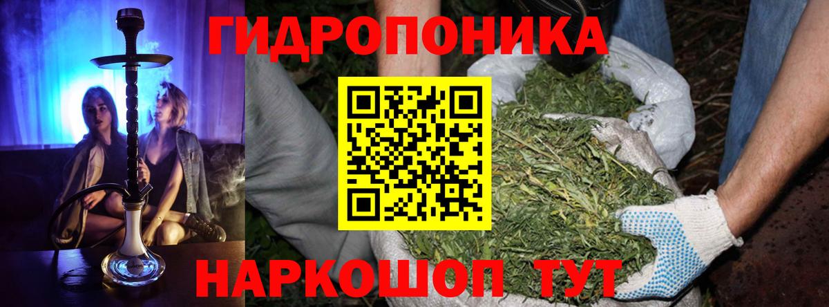 Канабис AK-47 Тула